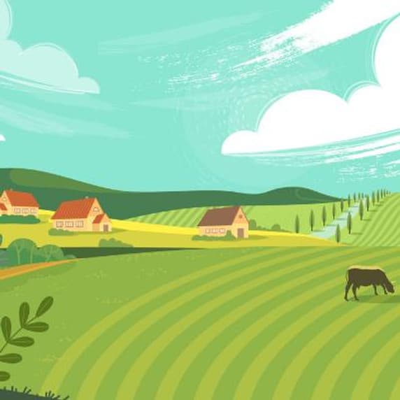 Agriculture Survey Management System
